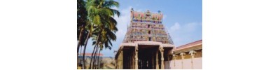 089. திருக்குறுங்குடி (வாமன சேத்திரம்)